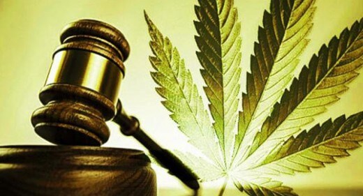 Why You Need A Good Cannabis Lawyer When You Get A Cannabis Licence